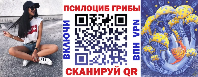 Псилоцибиновые грибы Psilocybe  Приморско-Ахтарск 
